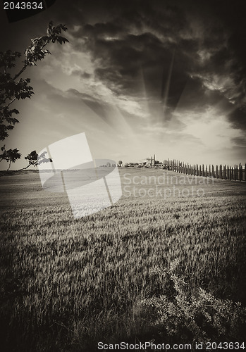 Image of Farm house in the Tuscany region of Italy