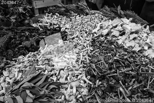 Image of Close up of mushrooms on market stand