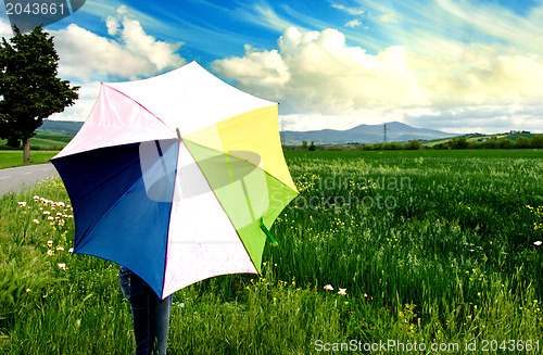 Image of Multicolor Umbrella with Poppies Field, Tuscany