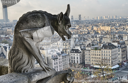 Image of Paris. Closeup of gargoyle on the top of Notre-Dame Cathedral - 