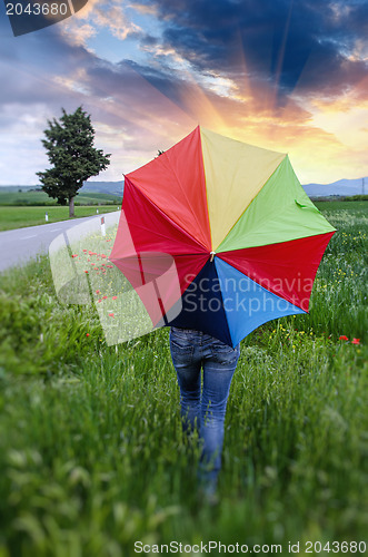 Image of Colorful umbrella over a Green Field