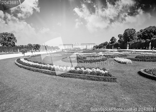 Image of Vienna, Austria - Schoenbrunn Gardens flowers shapes, a UNESCO W