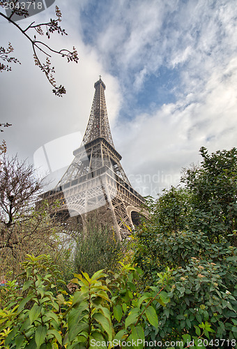 Image of Paris. Eiffel Tower with vegetation and trees on a winter mornin