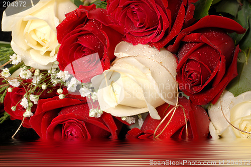 Image of Bouquet of red and white roses in water