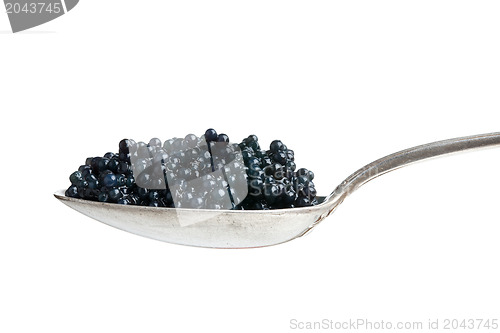 Image of black caviar in spoon