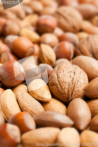 Image of various nuts