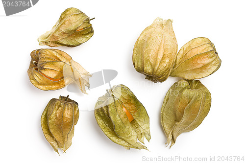 Image of physalis fruit