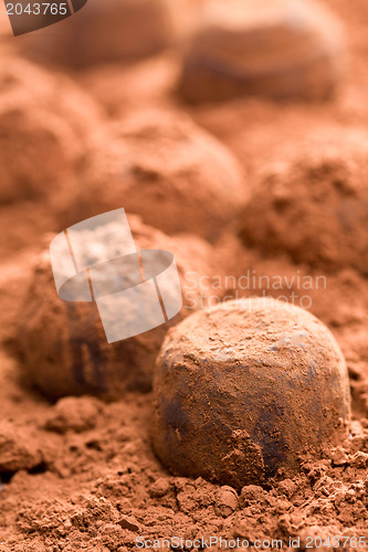 Image of chocolate truffles 