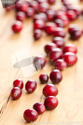 Image of fresh cranberries