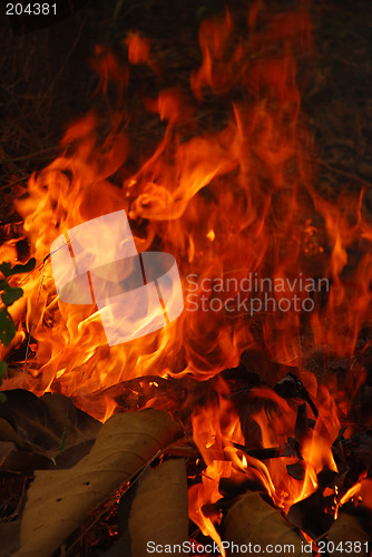 Image of Fire