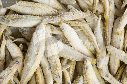 Image of frozen anchovies