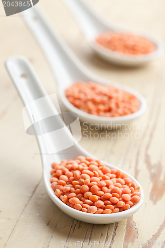 Image of red lentils in porcelain spoon