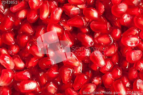 Image of pomegranate background