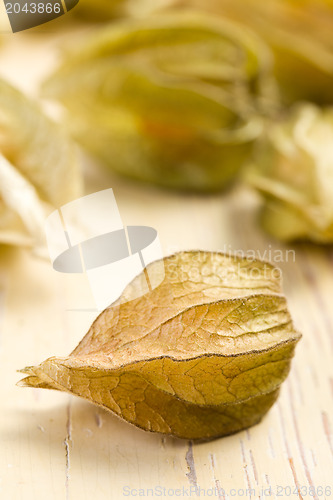 Image of physalis fruit