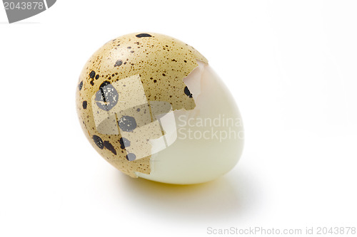 Image of boiled quail egg