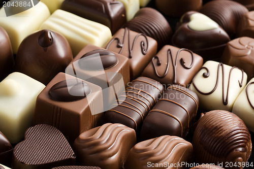 Image of various chocolate pralines