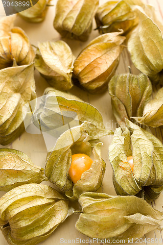 Image of physalis fruit