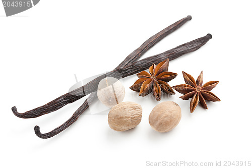 Image of vanilla with nutmeg and anise