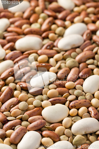 Image of mixed legumes