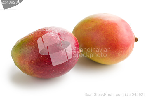 Image of fresh mango fruit