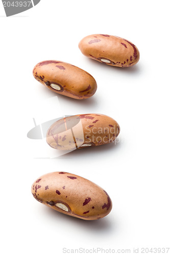 Image of dried beans