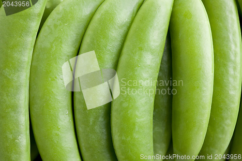 Image of green peas pods