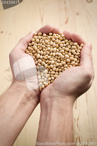 Image of soya beans in hands