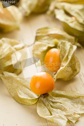 Image of physalis fruit