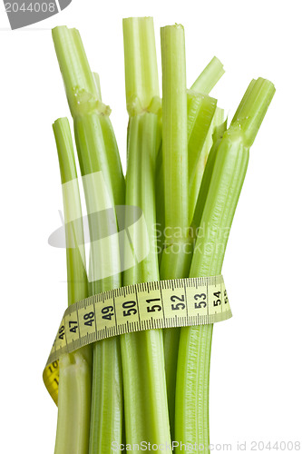 Image of green celery sticks on white background