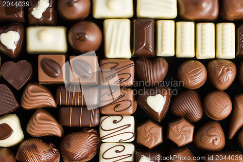 Image of various chocolate pralines