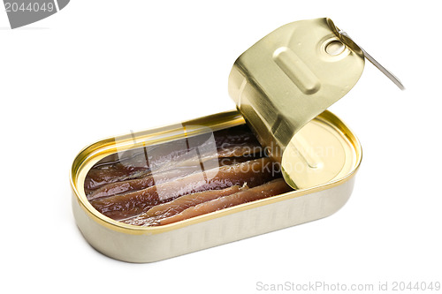 Image of anchovies fillets in tin can