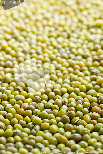Image of mung beans