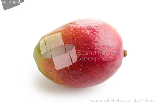 Image of fresh mango fruit