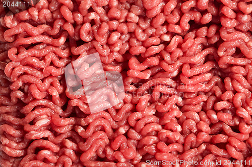 Image of detail of raw minced meat