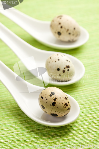 Image of quail eggs on kitchen table