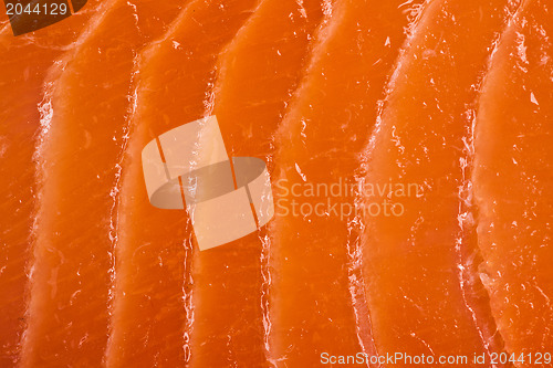 Image of salmon meat texture