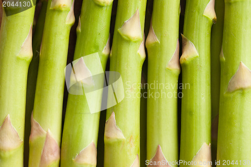 Image of detail of fresh green asparagus