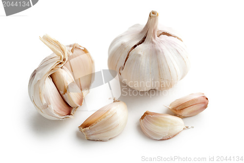 Image of fresh garlic on white background