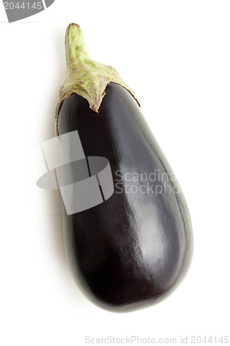 Image of eggplant on white background