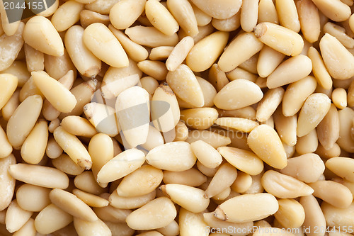 Image of pine nuts background