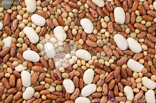 Image of mixed legumes