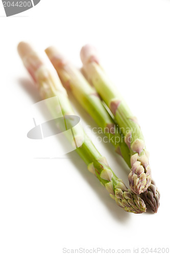 Image of fresh green asparagus