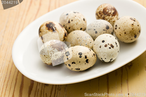 Image of quail eggs on kitchen table