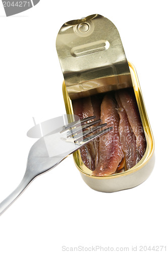 Image of anchovies fillets in tin can