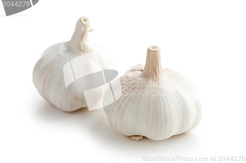 Image of fresh garlic on white background