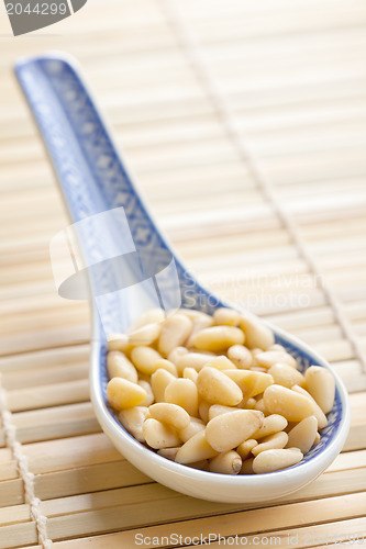 Image of pine nuts in ceramic spoon