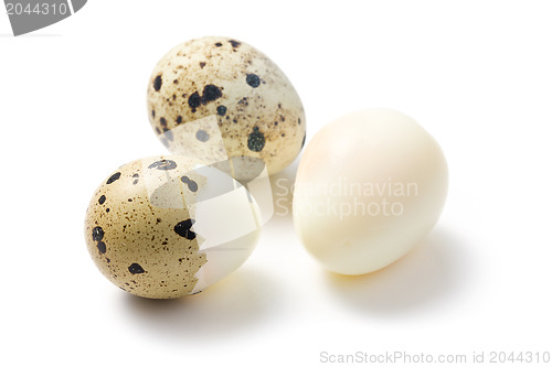 Image of boiled quail eggs