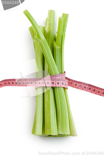 Image of green celery sticks on white background