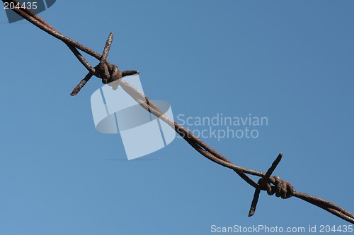 Image of Barbed wire