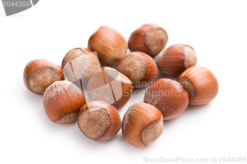 Image of hazelnuts